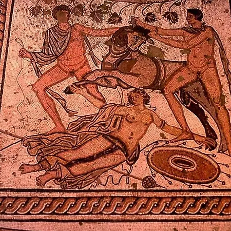 Lacea Pula