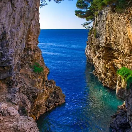 Lacea * Pula